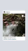 shayli_or Altpins Profile Picture