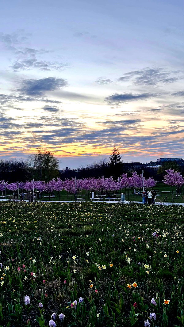 viki_dominev archive video preview