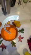 blossom_in_my_moonlight Altpins Profile Picture