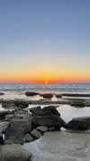 mishel_d_ Altpins Profile Picture