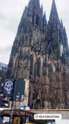aleiisha.piixiie Altpins Profile Picture
