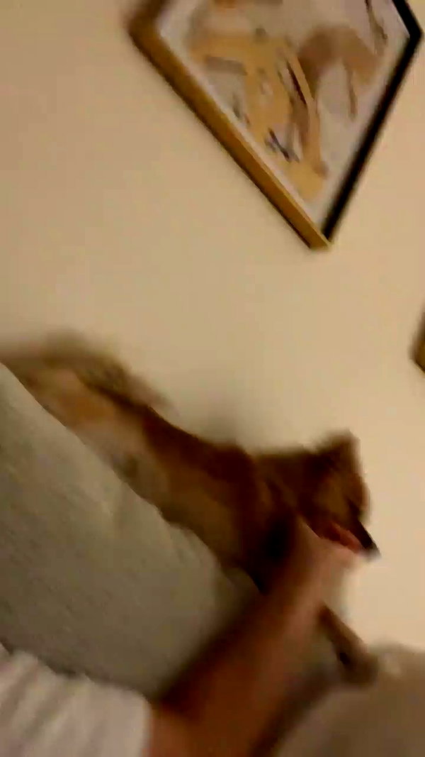 sunnyrayyxo archive video preview