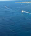 edvarda_ Altpins Profile Picture