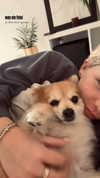 nina.kxs Altpins Profile Picture