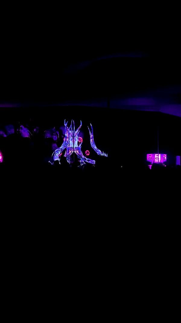_.shelichka._ archive video preview