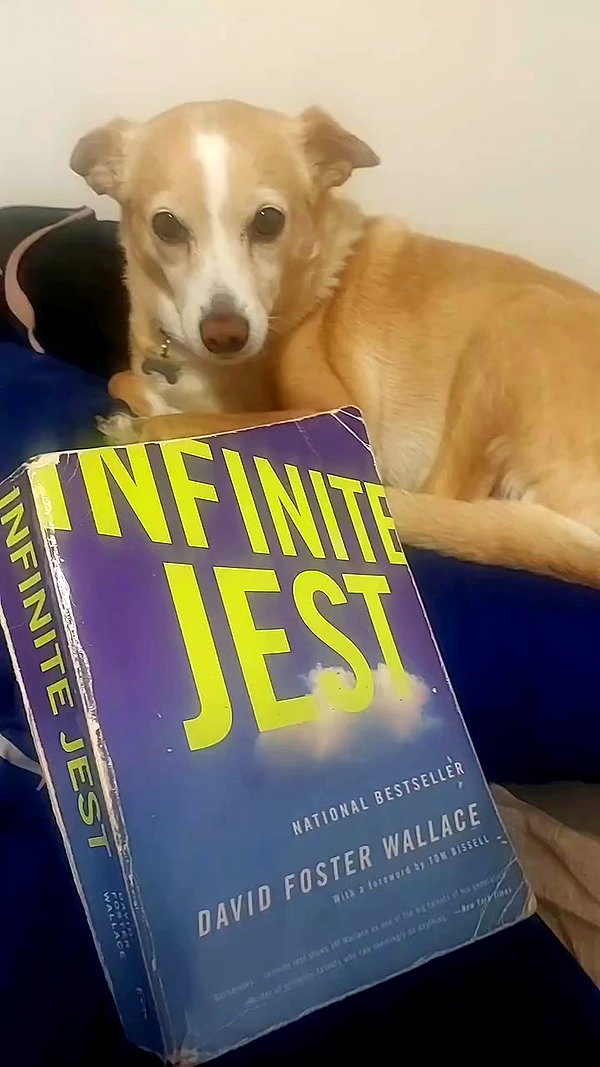 shayli_or archive video preview