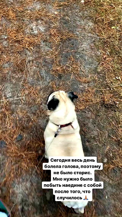 nyityam nyityam archive video