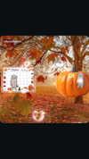 daniella_koosit Altpins Profile Picture