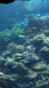 karin_orhov Altpins Profile Picture