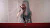 impoppy Altpins Profile Picture