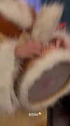 ptpchik Altpins Profile Picture