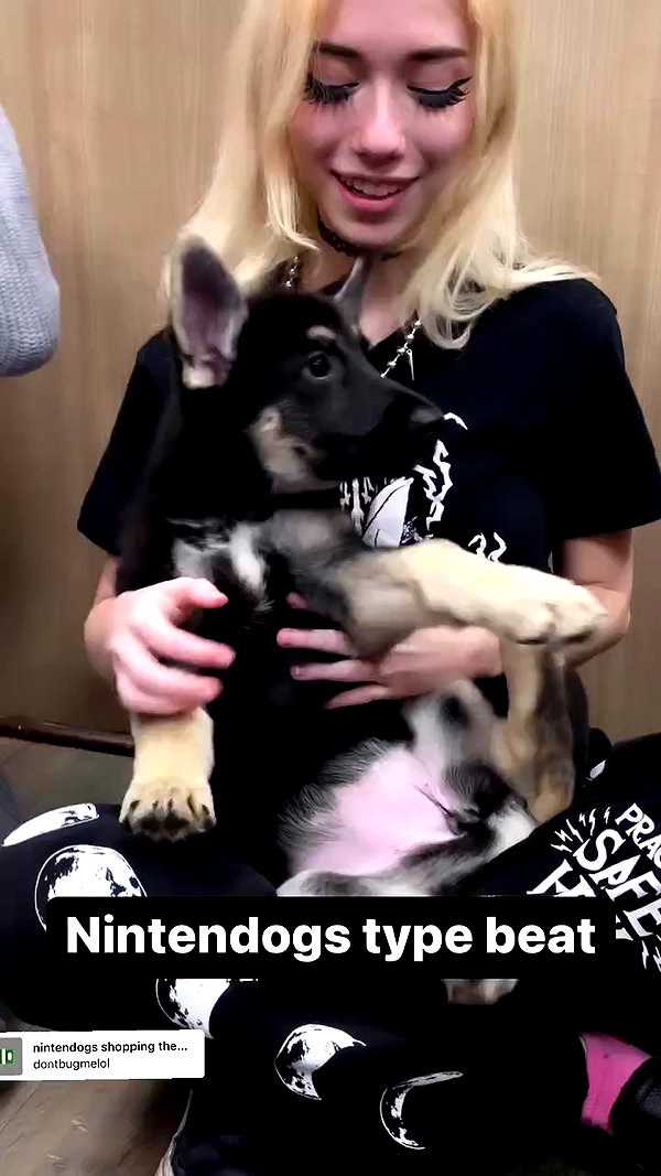 iluvmeww archive video preview