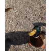 kafelnikova_a Altpins Profile Picture