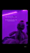 nyx_o_o_ Altpins Profile Picture