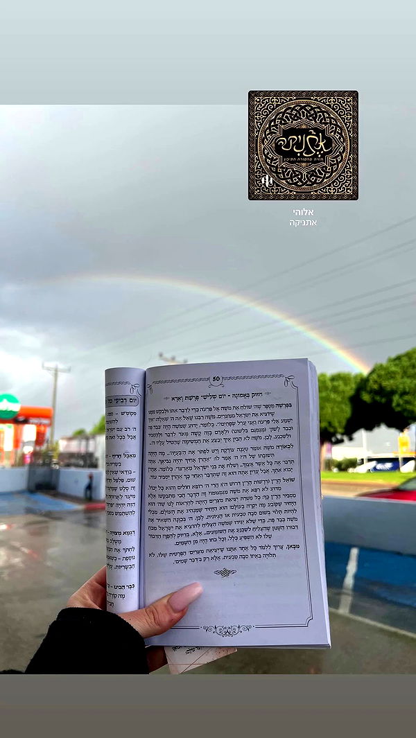 yulialam__ archive video preview