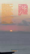darkstar_mia Altpins Profile Picture