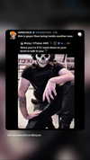 dante_yangpa Altpins Profile Picture