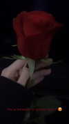 roxiechelon2 Altpins Profile Picture