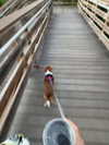 kyla.doddsss Altpins Profile Picture
