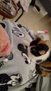ida.trbl Altpins Profile Picture