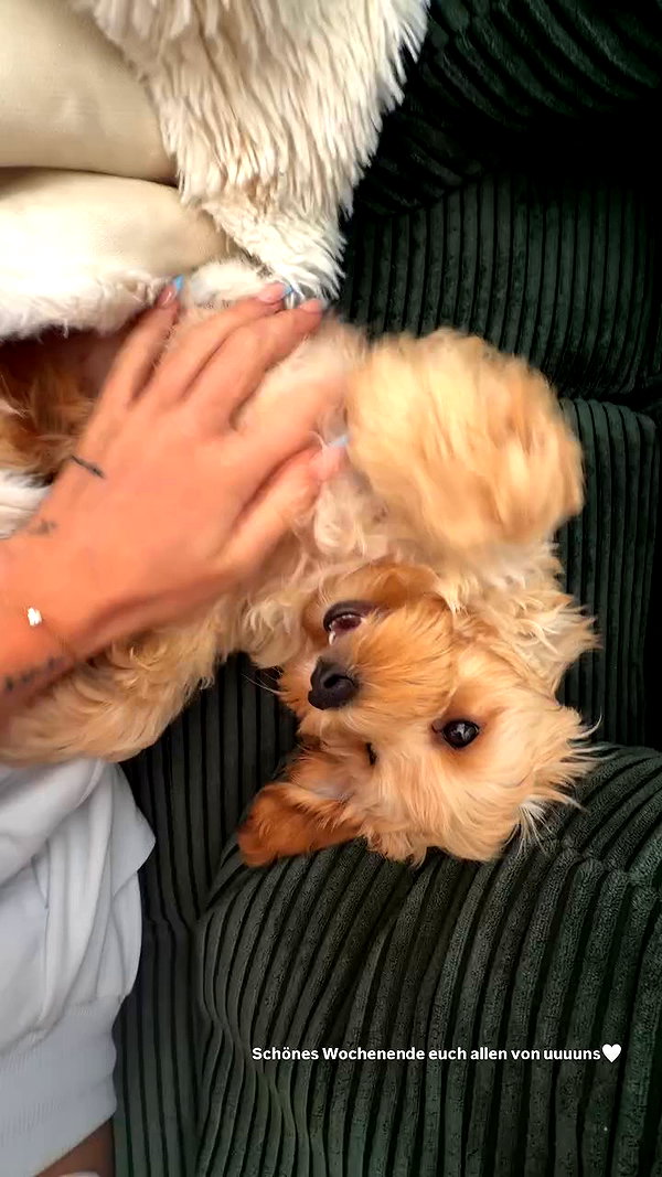 sophiecharlotth archive video preview