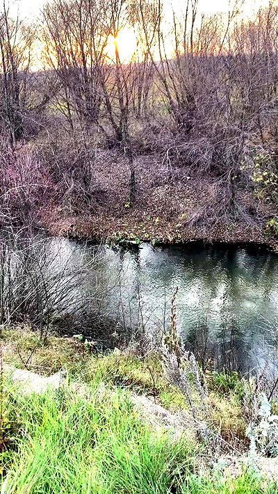 nyityam nyityam archive video