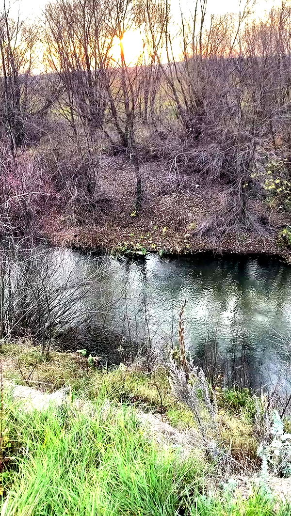 nyityam archive video preview