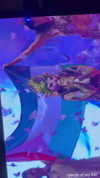 v.qx Altpins Profile Picture