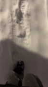apathy.impress Altpins Profile Picture