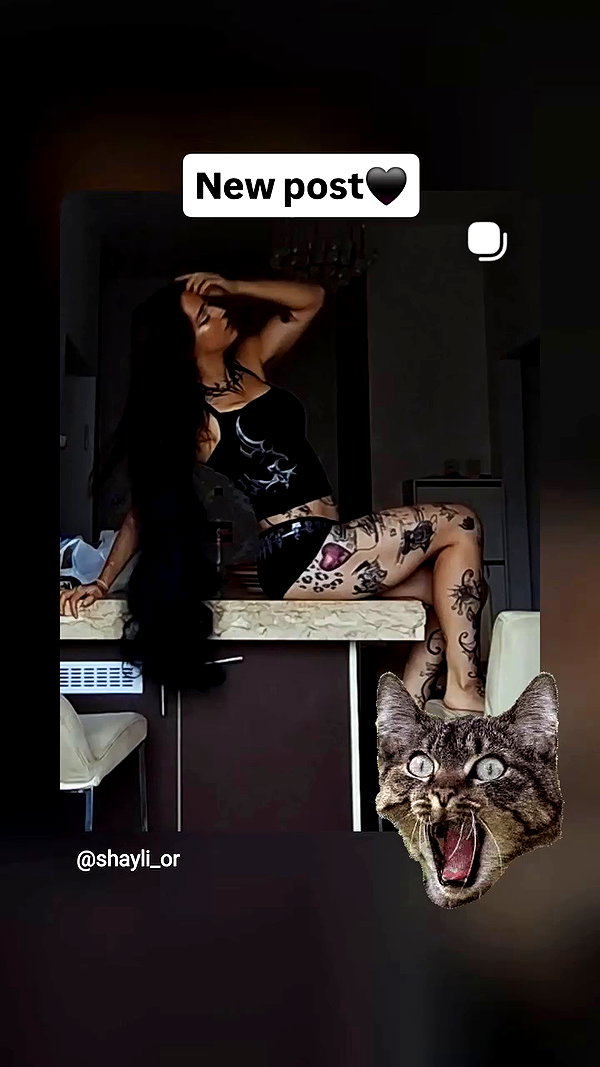 shayli_or archive video preview