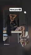 shayli_or Altpins Profile Picture