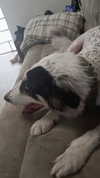 moonyyyya Altpins Profile Picture