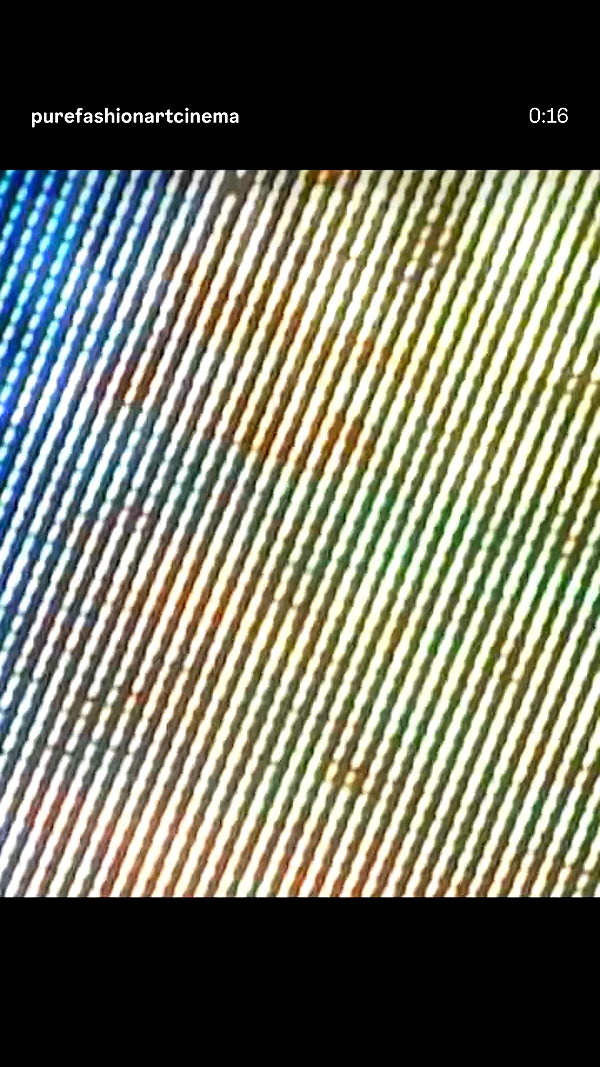 foulboness archive video preview