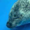 hh.yyy_ Altpins Profile Picture
