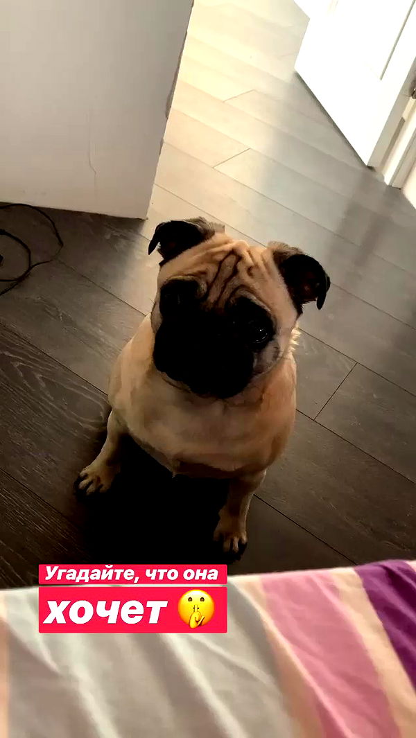 nyityam archive video preview