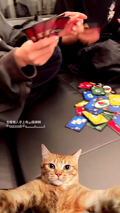 ting851204 ting851204 archive video