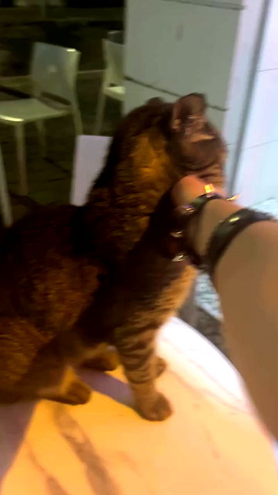 feelbetterinmysweater feelbetterinmysweater archive video