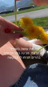 lotembar Altpins Profile Picture