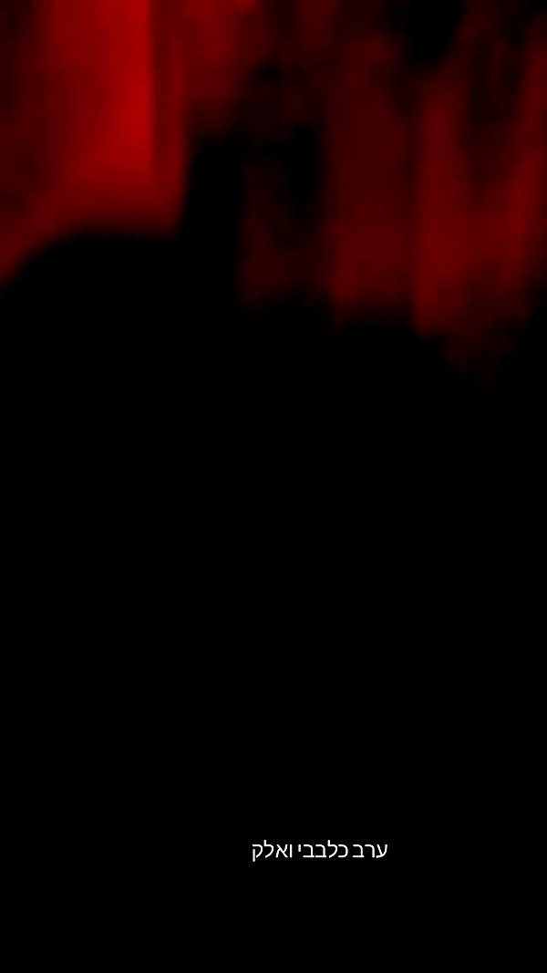 maycohen8 archive video preview