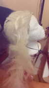 ki.re.ina Altpins Profile Picture