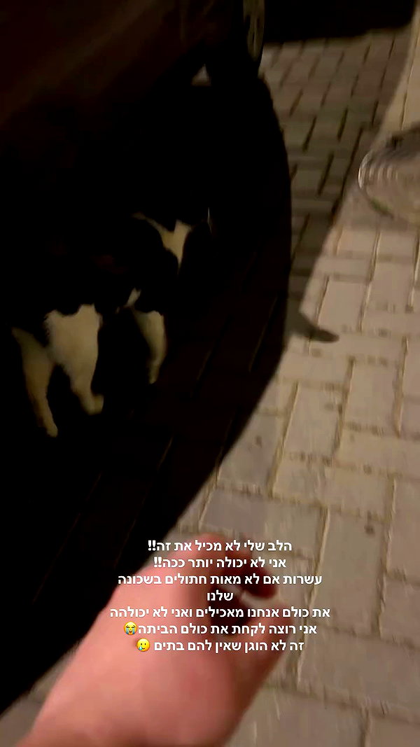 karin_orhov archive video preview