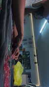 noy.razz Altpins Profile Picture