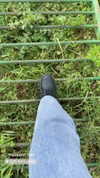 evasela__ Altpins Profile Picture