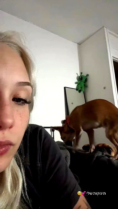 jaroslava_klavir jaroslava_klavir archive video