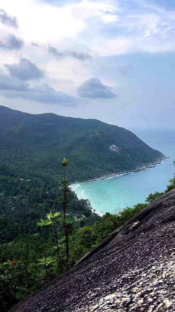 swfx_real archive video preview