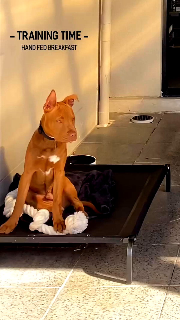olivia.mathers archive video preview