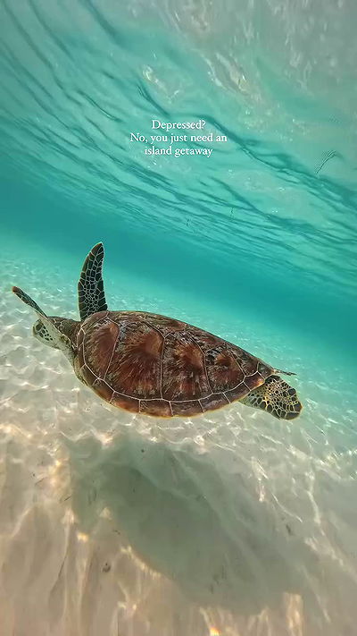 taylor.creeden taylor.creeden archive video