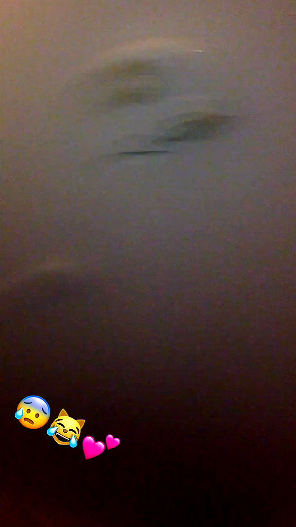 iluvcaz archive video preview