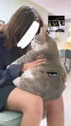 dante_yangpa Altpins Profile Picture