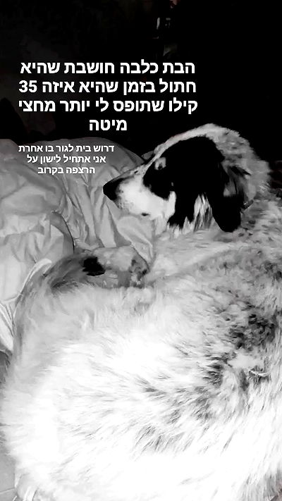 moonyyyya moonyyyya archive video